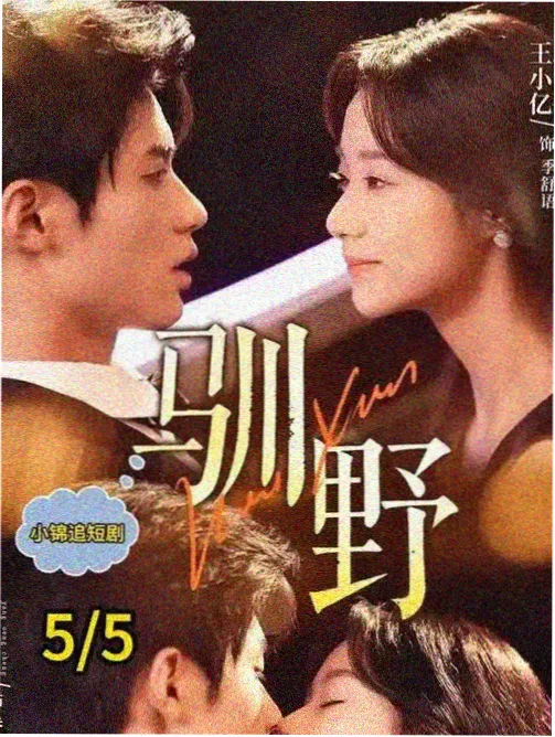 夜航西飞 剧集封面